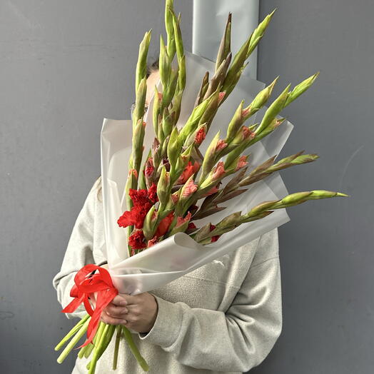 Красные и Коралловые Гладиолусы 11 шт 🌺