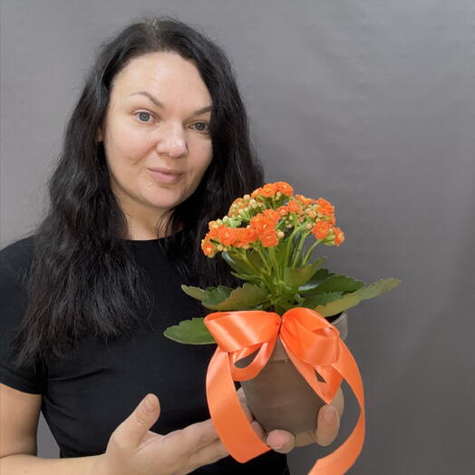 Каланхоэ Каландива(Kalanchoe Calandiva)в оранжевом оттенке, комнатный цветок который радует цветением до 8 недель