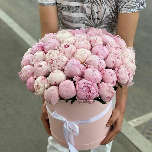 Peonies in a box of 51 pieces