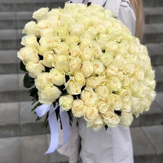 Monobook de 101 rosas blancas