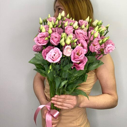 Eustoma pink