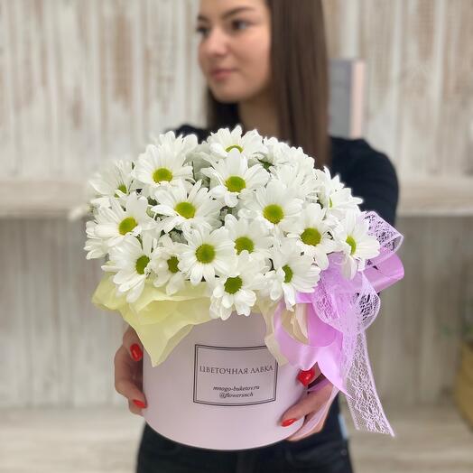 Коробка ромашковых хризантем