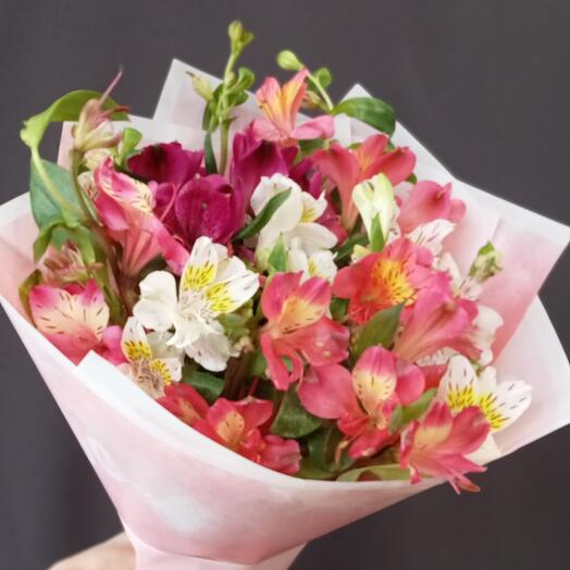 Alstroemeria