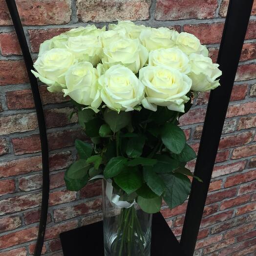 Rosa Avalanche