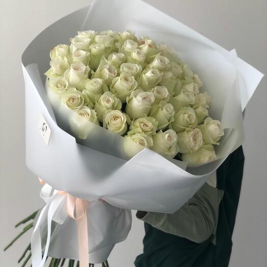51 rosa blanca