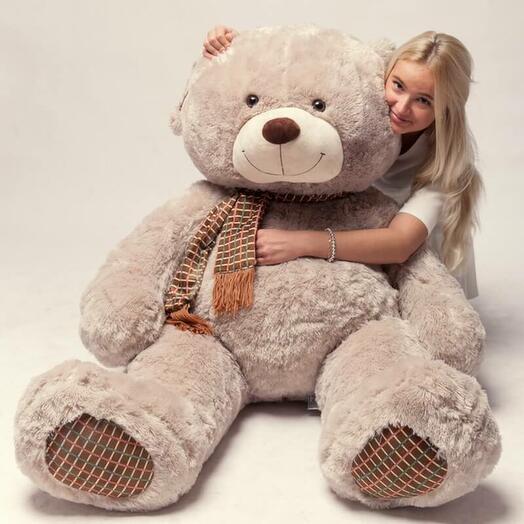 bear 180 cm