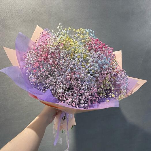 Mono ramo de gypsophila de color