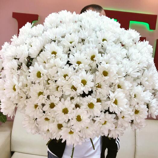 Ромашки🌸