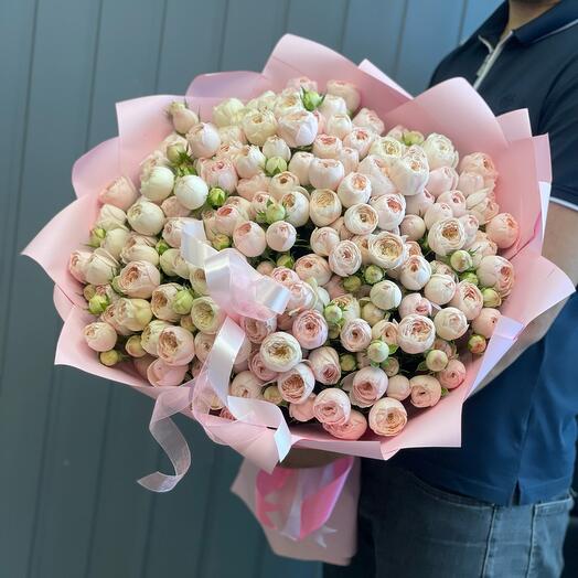 Arbustos de rosas peonías meensfield Park DE 39