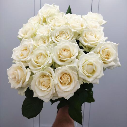 Ramo de 15 rosas blancas de Pascua brillante