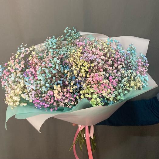 Gypsophila. The tenderness of the rainbow