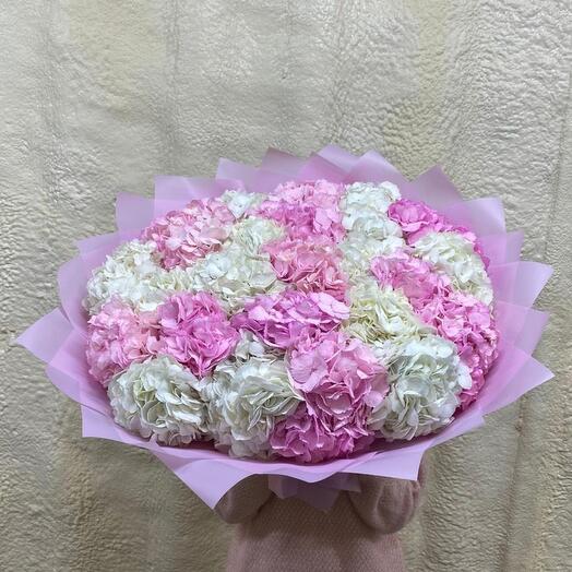 Hortensia