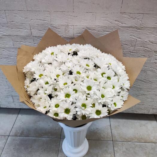 Daisies
