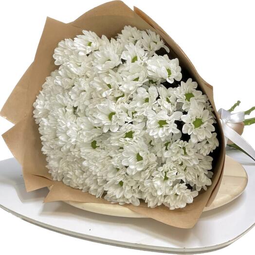 Chrysanthemum chamomile