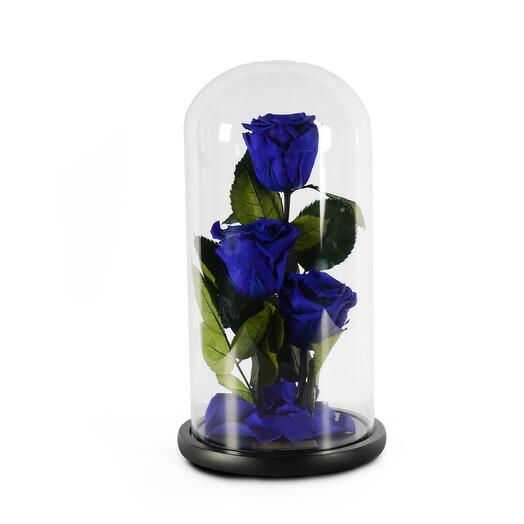 Royal Blue Preserved Roses in a Glass Dome Trio
