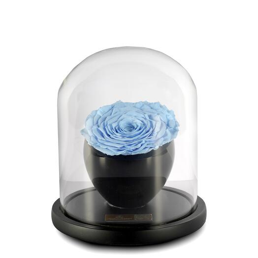 Light Blue Preserved Roses in crystal vase Single