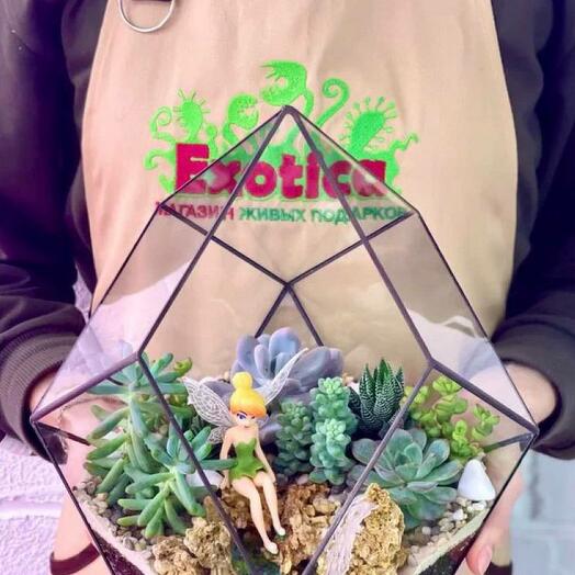 Florarium "Orius" with live succulents