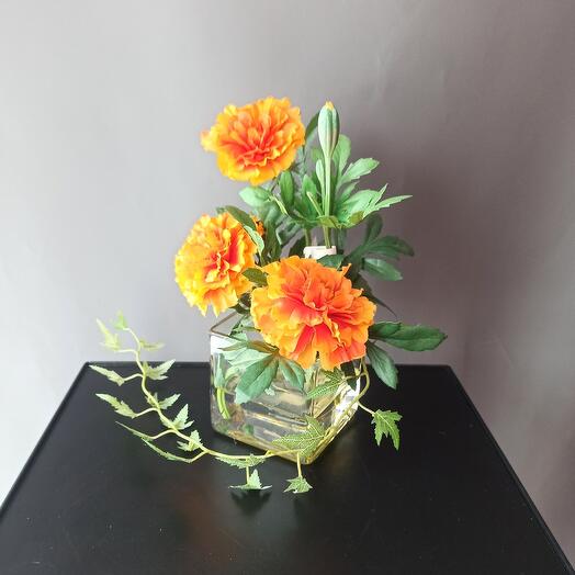 Tagetes