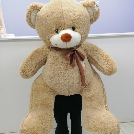 Oso de peluche 160cm