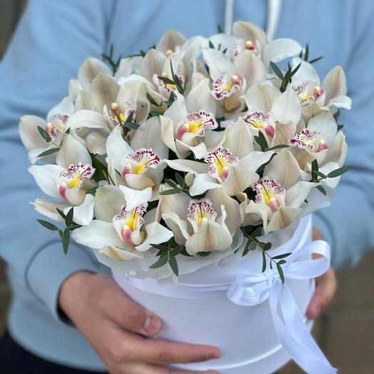 Orquídea en Caja