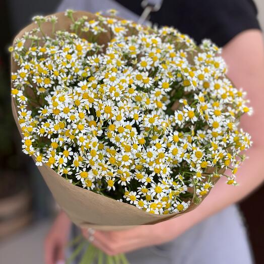 Шикарный букет из ромашек 🤍