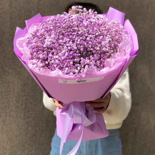 Ramo de gypsophila