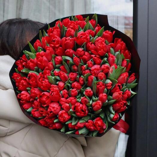 Красные тюльпаны