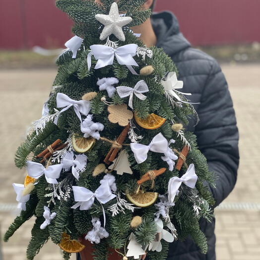 Новогодняя живая ель
