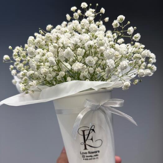 Комплимент White