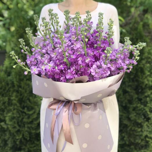 Bouquet of 35 purple matthiola