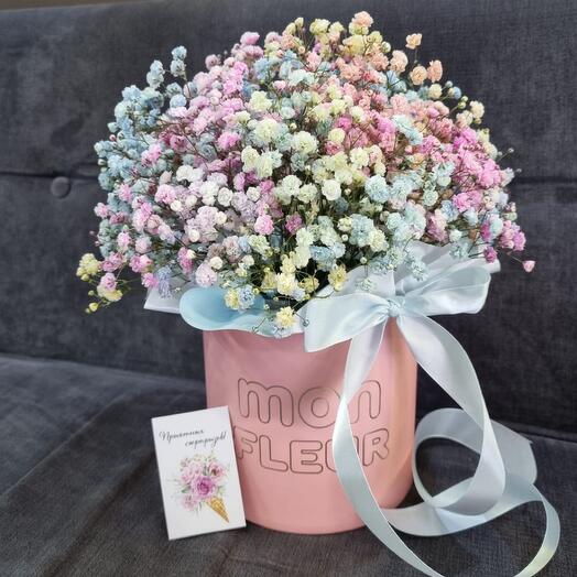 Persistent flowers in a gypsophile box
