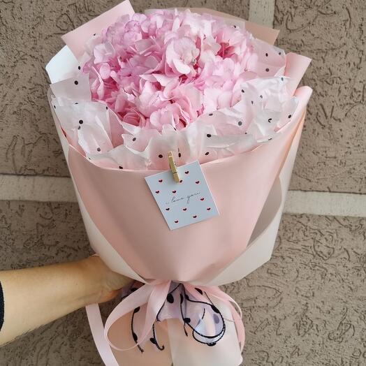 Bouquet of Pink cloud, hydrangea
