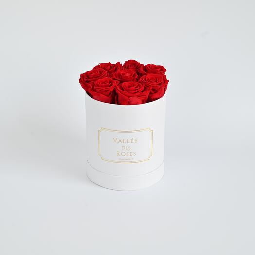 Red Preserved Roses