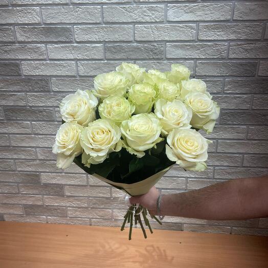 15 Роза Эквадор