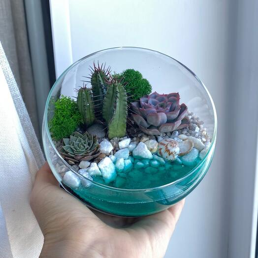 Mini hemisphere