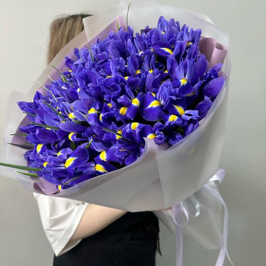 Irises 45pcs