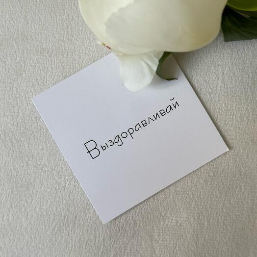 Открытка
