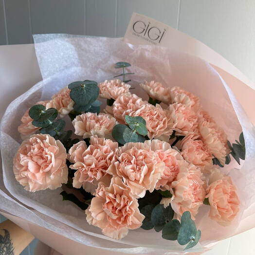 Carnations