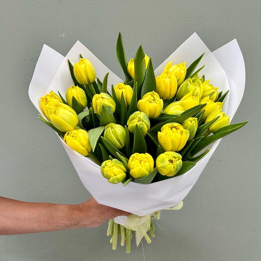 25 tulipanes amarillos