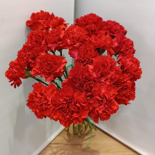 Гвоздика красная Голландия 20 штук