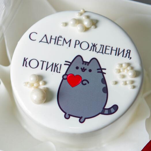 Bento con un gato para su cumpleaños
