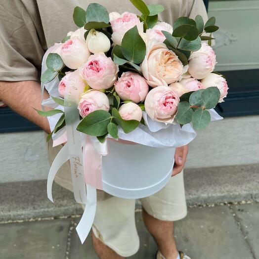 Flowerbox Mansfield park