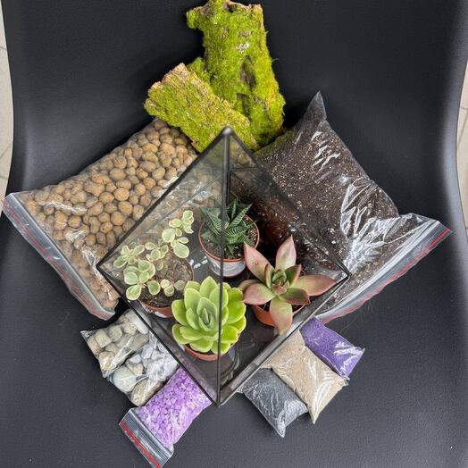 Kit de creación de Florarium