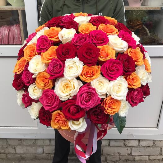 201 rose in a box