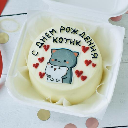 Бенто торт «С днём рождения, котик»