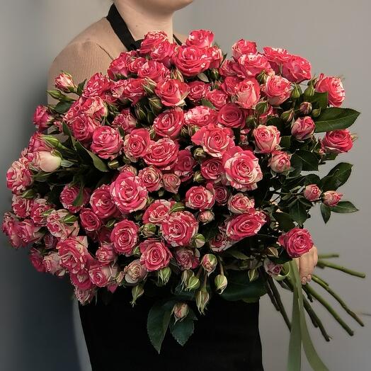 Пышная кустовая роза, 17 веток