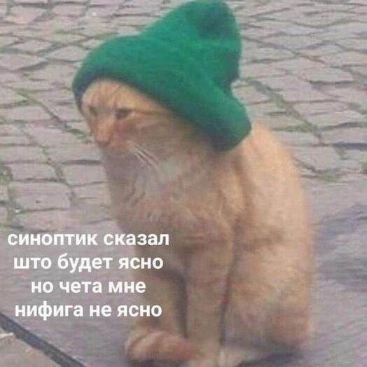 Товар смоук тест директор