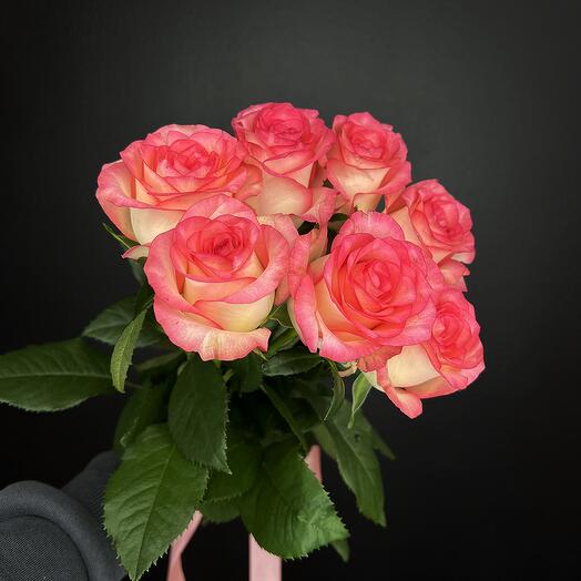 Ramo de 7 rosas Rosadas Jumilia