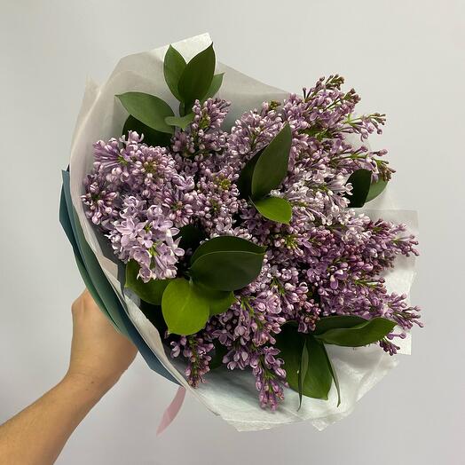 Ветки голландской сирени с рускусом