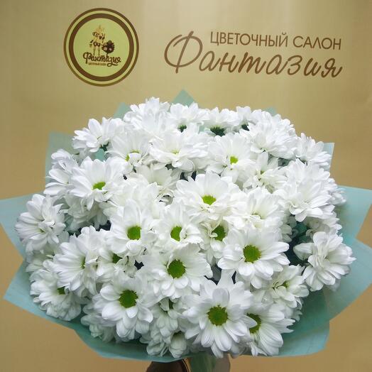 Ромашковое облако